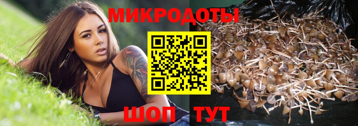 Карачаевск  Псилоцибиновые грибы GOLDEN TEACHER  Галлюциногенные грибы MAGIC MUSHROOMS  Вход с VPN 