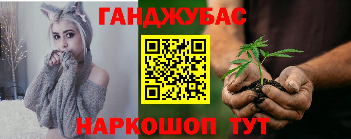 Шишки марихуана сатива Карачаевск